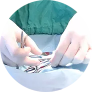 Usługi weterynaryjne